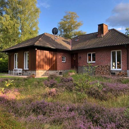 Landhaus Mitten In Der Lueneburger Heide Undeloh Exteriör bild