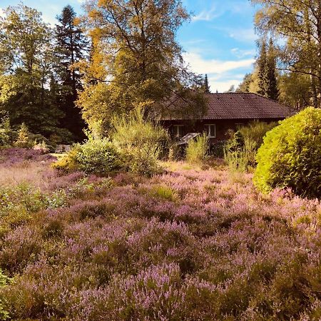 Landhaus Mitten In Der Lueneburger Heide Undeloh Exteriör bild