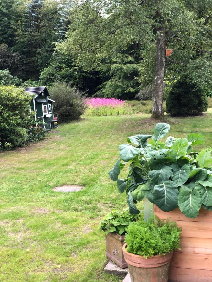 Landhaus Mitten In Der Lueneburger Heide Undeloh Exteriör bild