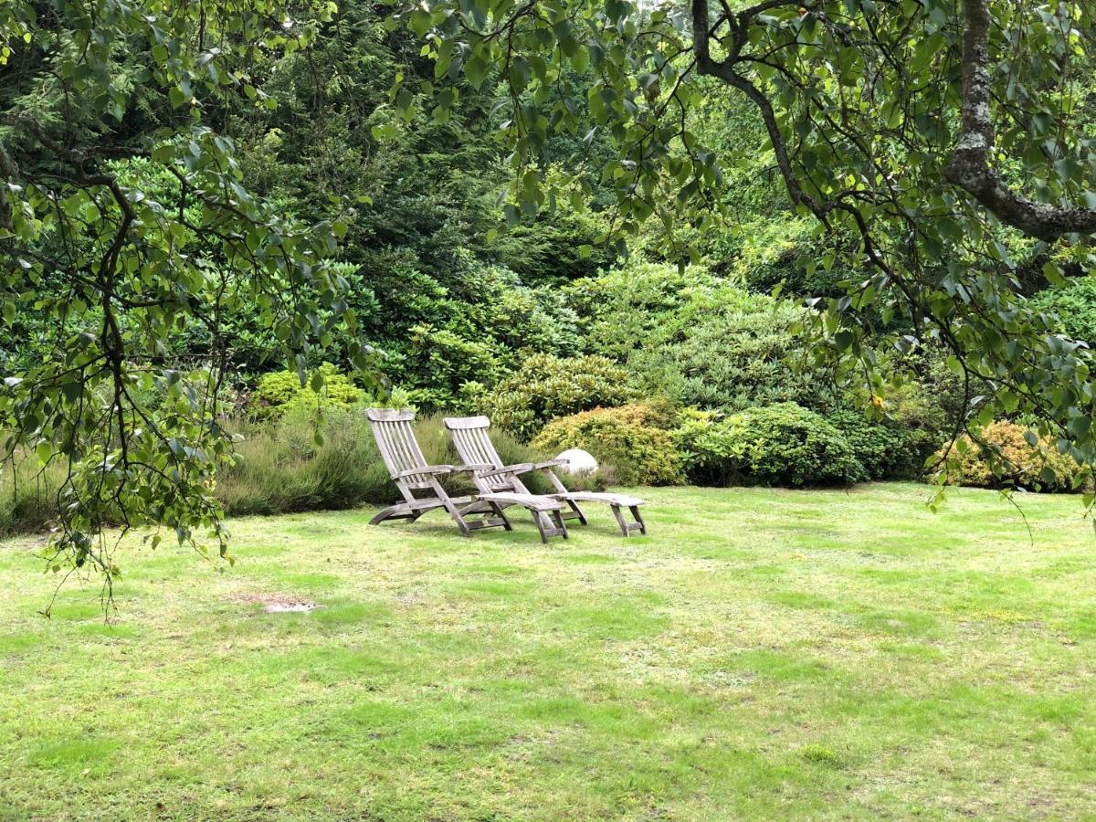 Landhaus Mitten In Der Lueneburger Heide Undeloh Exteriör bild