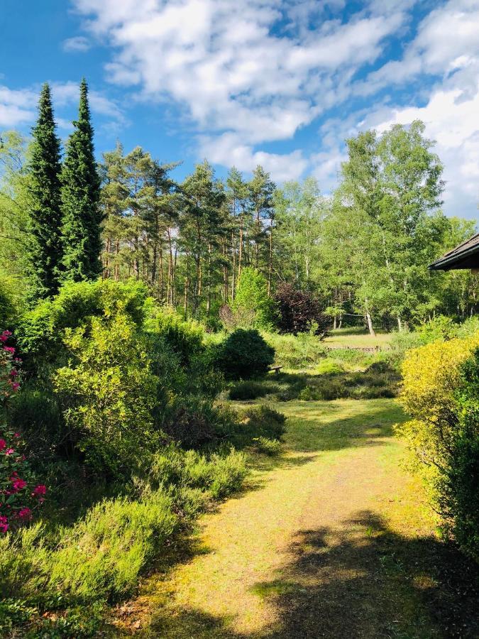 Landhaus Mitten In Der Lueneburger Heide Undeloh Exteriör bild