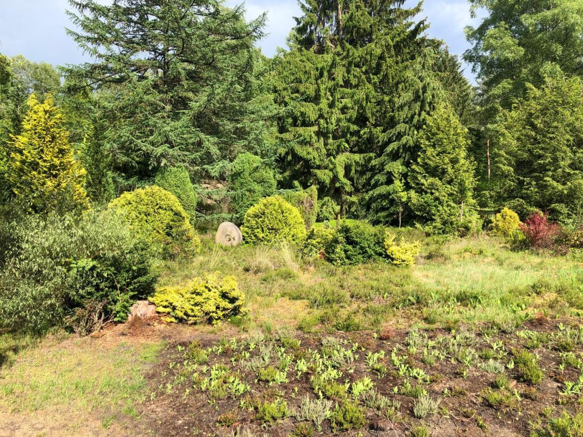Landhaus Mitten In Der Lueneburger Heide Undeloh Exteriör bild
