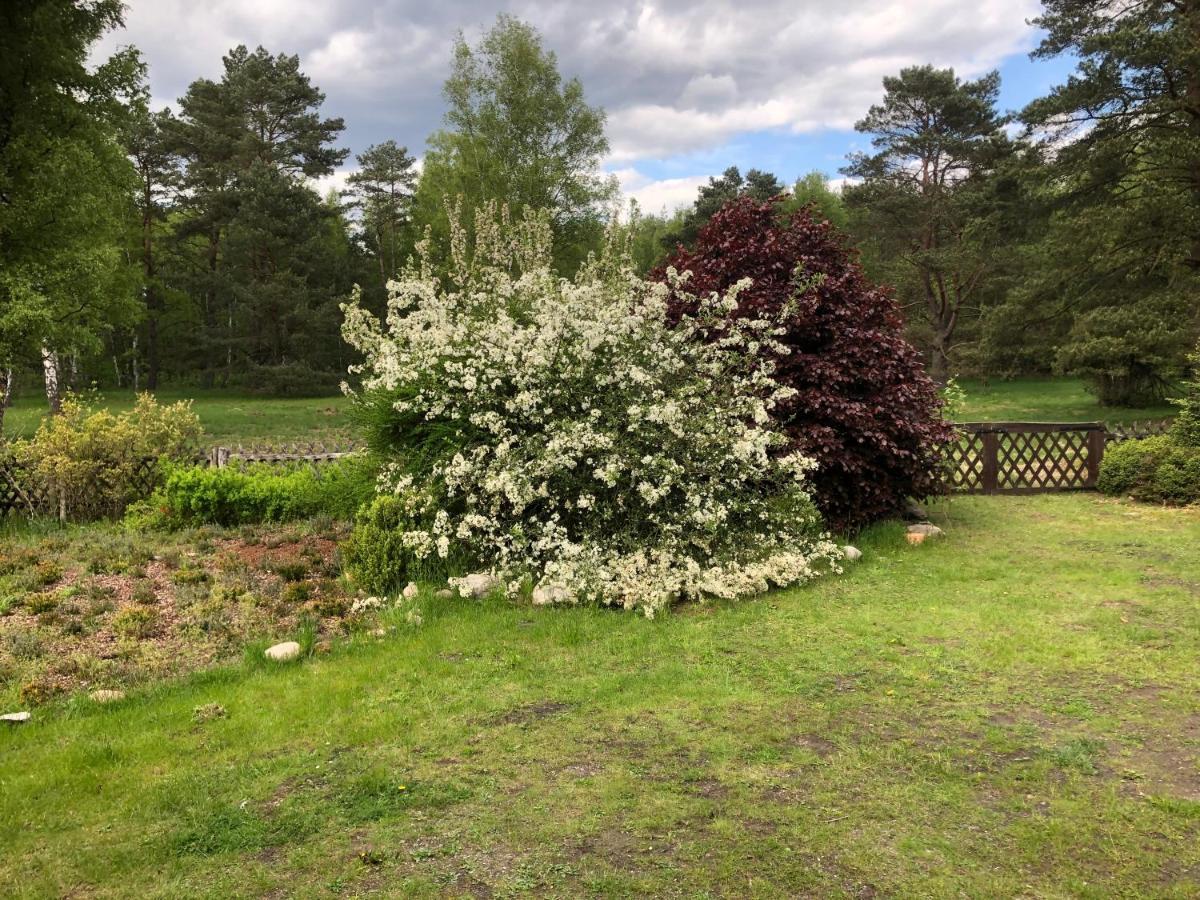 Landhaus Mitten In Der Lueneburger Heide Undeloh Exteriör bild