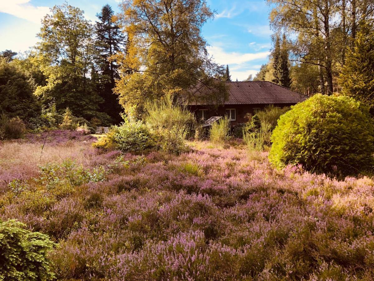 Landhaus Mitten In Der Lueneburger Heide Undeloh Exteriör bild