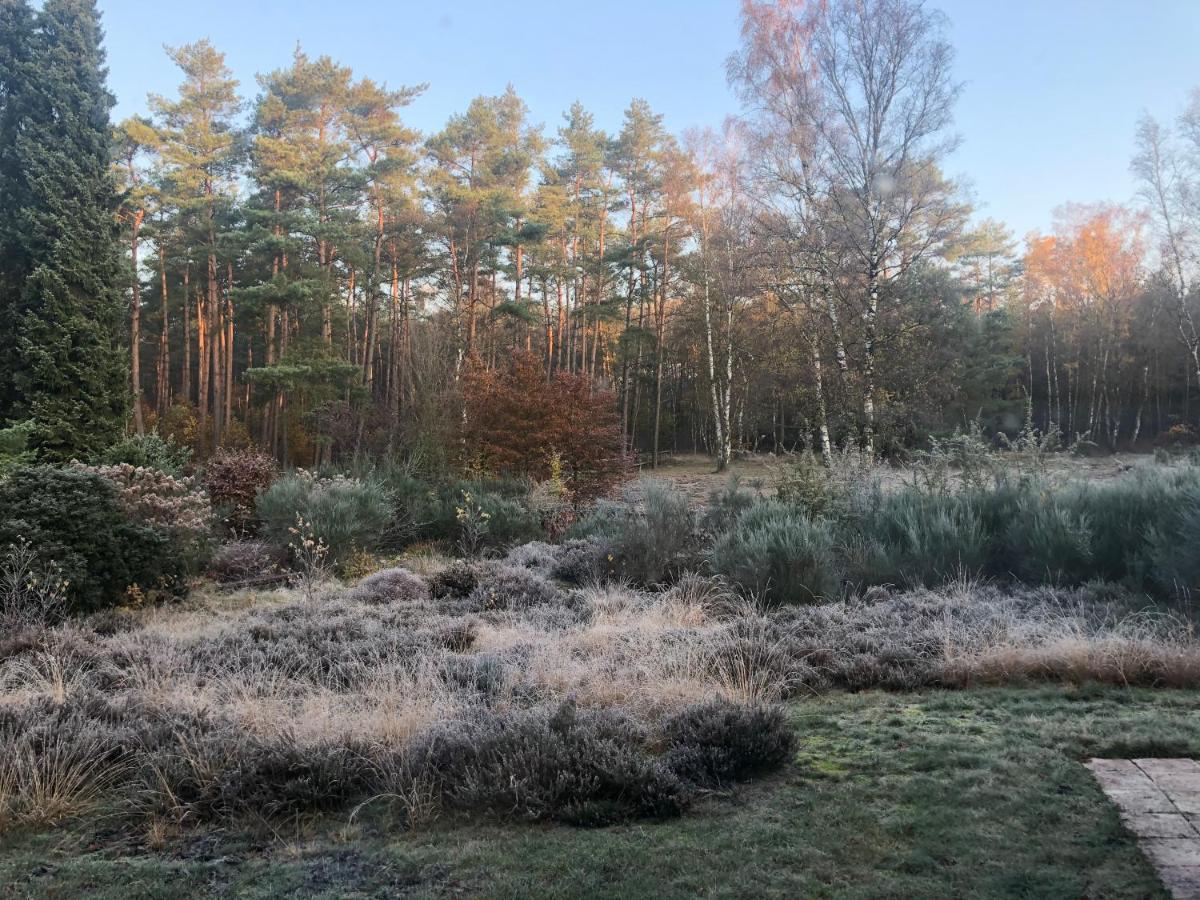 Landhaus Mitten In Der Lueneburger Heide Undeloh Exteriör bild