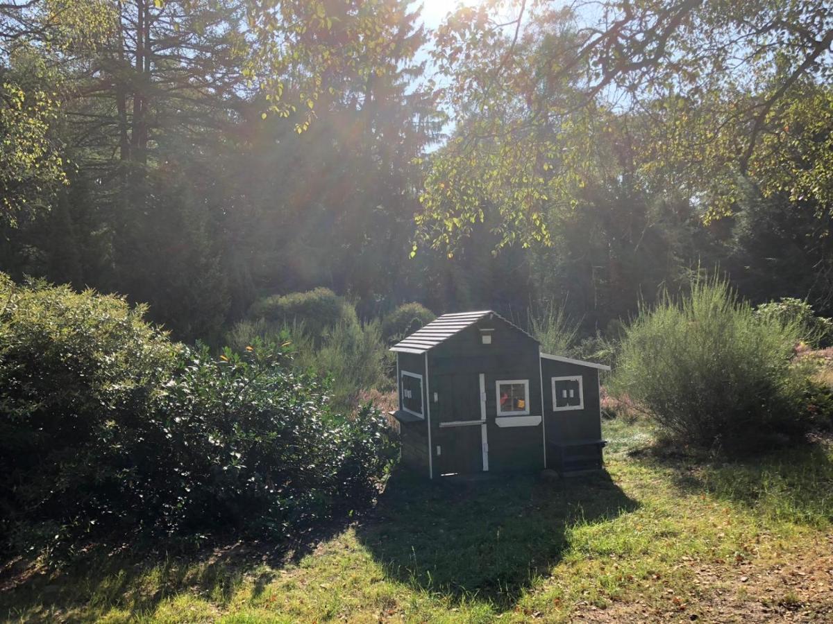 Landhaus Mitten In Der Lueneburger Heide Undeloh Exteriör bild