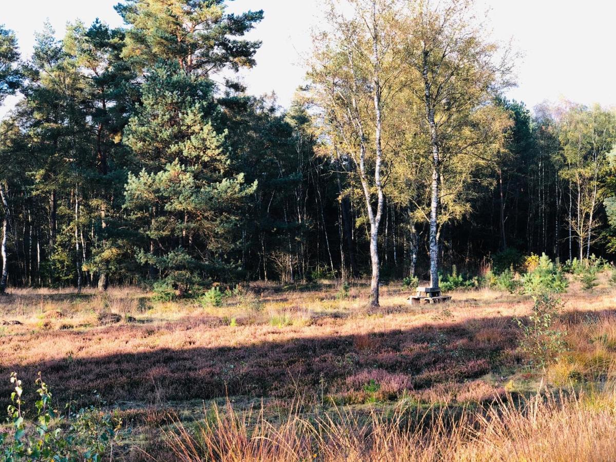 Landhaus Mitten In Der Lueneburger Heide Undeloh Exteriör bild